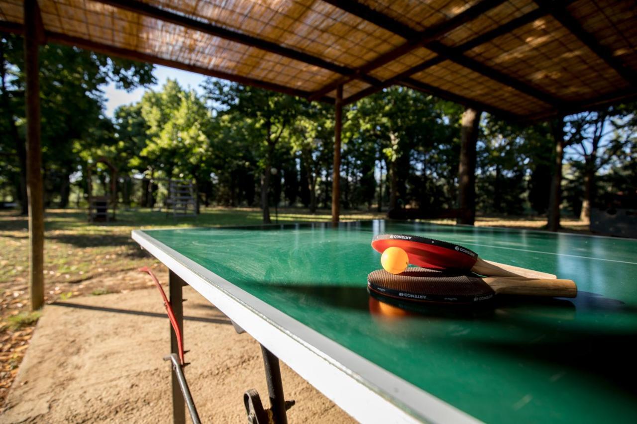 Agriturismo Pometti - Fattoria La Selva トレクアンダ エクステリア 写真