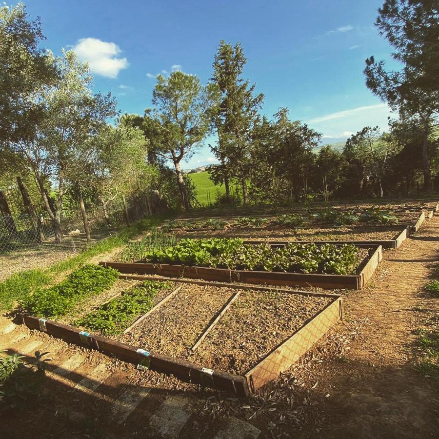 Agriturismo Pometti - Fattoria La Selva トレクアンダ エクステリア 写真